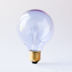 Chromalux® Full Spectrum G25 Clear Bulb, 40W