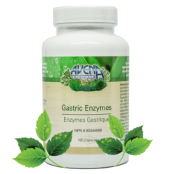 Avena Gastric Enzymes