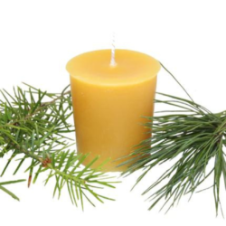 Honey Candles® Kootenay Forest Essential Votive Beeswax Candle