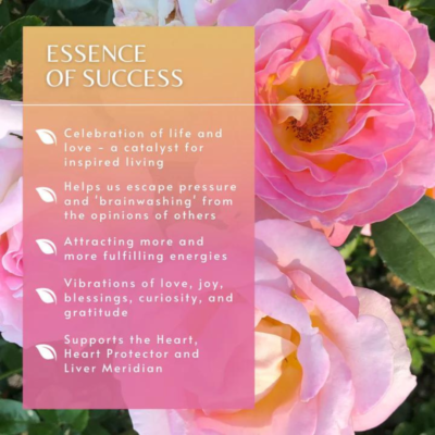 Pacific Essences® Essence of Success
