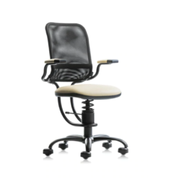 SpinaliS Ergonomic Luxury Active Sitting Office Chair