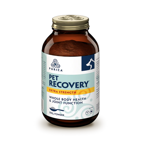 Purica Pet Recovery Extra Strength