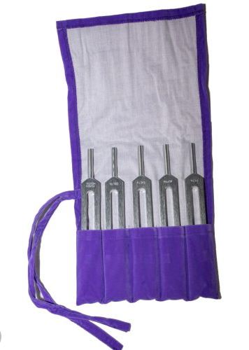 BioSonics Tuner Brain Set of 5