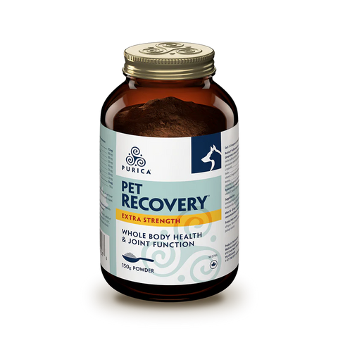 Purica Pet Recovery Extra Strength