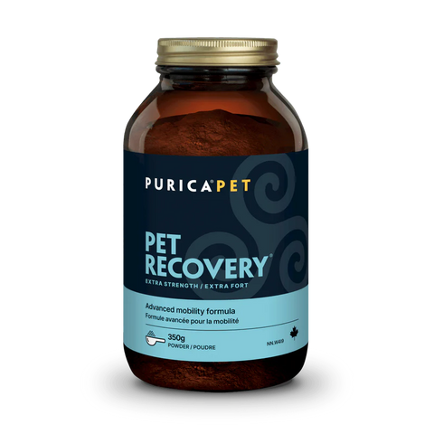 Purica Pet Recovery Extra Strength