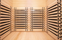 Erie sauna photo 3