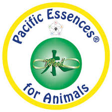 Pacific Essences Wood Animals 30 ml