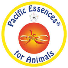 Pacific Essences Fire Animals 30 ml