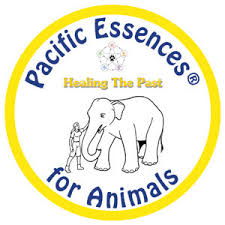 Pacific Essences Healing Past Animals 30 ml