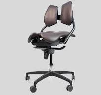 Maloidea Duplexia Ergonomic Chair Black