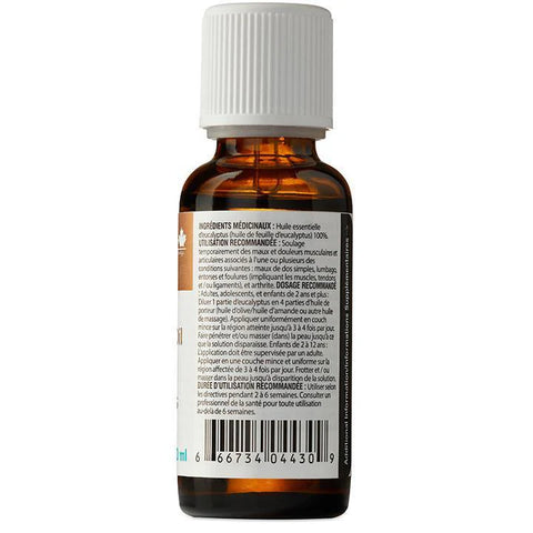 NewCo Eucalyptus Certified Organic Essential Oil, Two Sizes