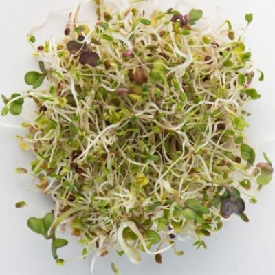 The Spring Salad Mix contains broccoli, radish, red clover, and alfalfa.