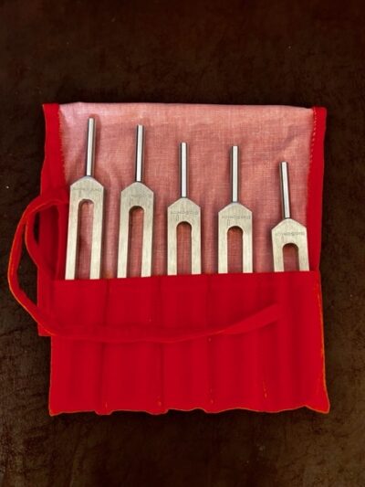 BioSonics Asteroid Tuning Fork – “Set of 5” (now with Green pouch)